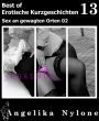 Erotische Kurzgeschichten - Best of 13: Sex an gewagten Orten 02