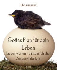 Title: Gottes Plan für dein Leben: Lieber warten - als zum falschen Zeitpunkt starten?, Author: Elke Immanuel