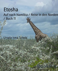 Title: Etosha: Auf nach Namibia / Reise in den Norden / Buch 11, Author: Ursula Irma Scholz