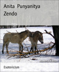 Title: Zendo: From The Zen Meditation Hall, Author: Gerald Chan Dr