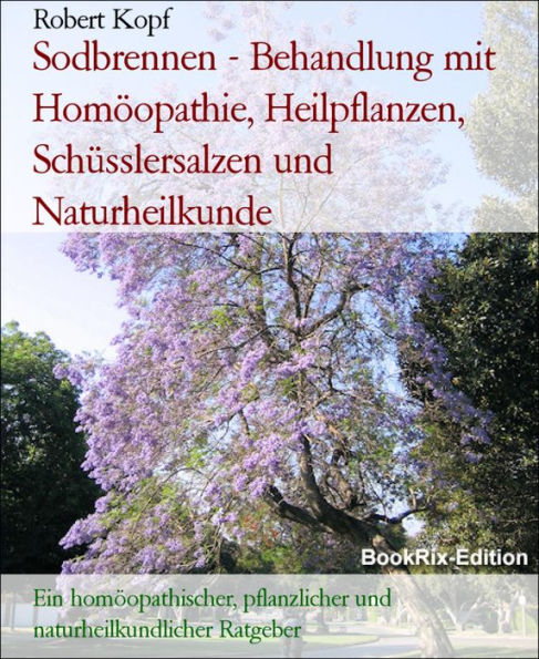 Sodbrennen - Behandlung mit Homöopathie, Heilpflanzen, Schüsslersalzen und Naturheilkunde: Ein homöopathischer, pflanzlicher und naturheilkundlicher Ratgeber