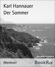 Title: Der Sommer, Author: Karl Hannauer