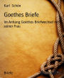 Goethes Briefe: Im Anhang Goethes Briefwechsel mit seiner Frau