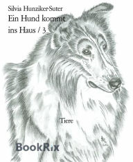 Title: Ein Hund kommt: ins Haus / 3, Author: Silvia Hunziker-Suter