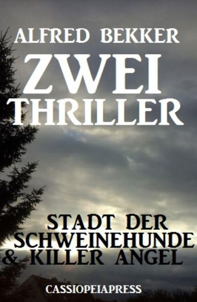 Zwei Thriller: Stadt der Schweinehunde & Killer Angel