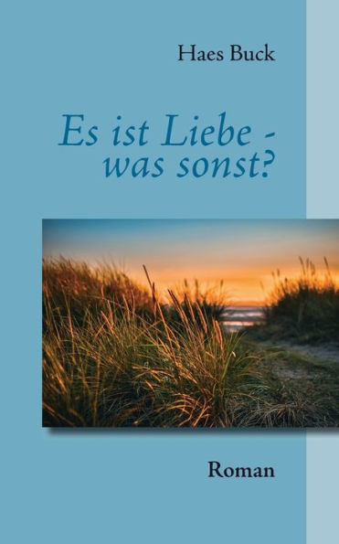 Es ist Liebe - was sonst?: Roman