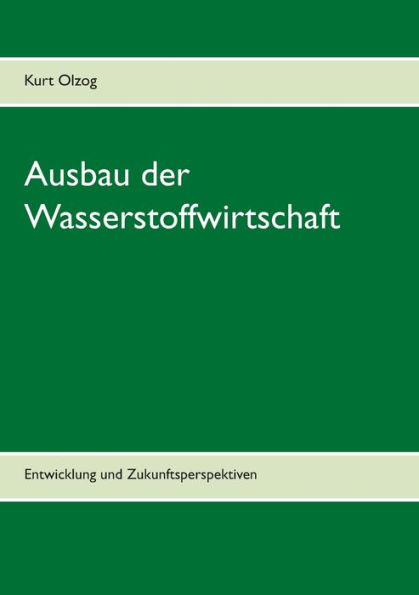 Ausbau der Wasserstoffwirtschaft: Entwicklung und Zukunftsperspektiven