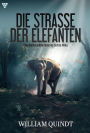 Eine abenteuerliche Reise ins tiefste Afrika: Die Straße der Elefanten 1 - Abenteuerroman