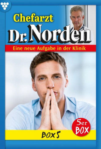 E-Book 1131-1135: Chefarzt Dr. Norden Box 5 - Arztroman