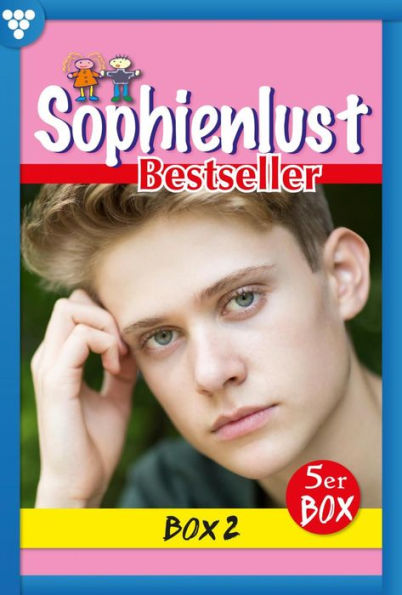 E-Book 6-10: Sophienlust Bestseller Box 2 - Familienroman