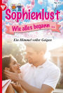 Ein Himmel voller Geigen: Sophienlust, wie alles begann 13 - Familienroman