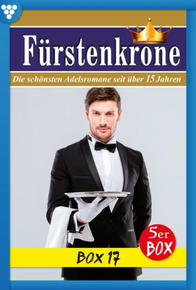 E-Book 91-95: Fürstenkrone Box 17 - Adelsroman