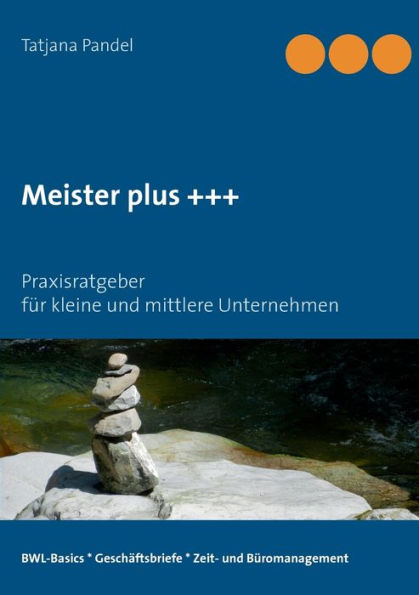 Meister plus +++: Praxisratgeber für kleine und mittlere Unternehmen