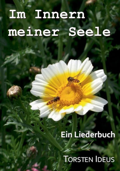 Im Innern meiner Seele: Ein Liederbuch