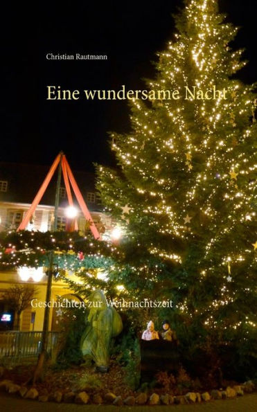 Eine wundersame Nacht: Geschichten zur Weihnachtszeit