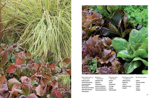 Botanical Inspirations