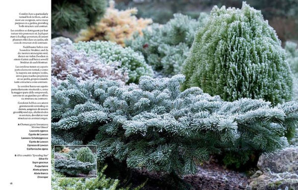 Botanical Inspirations