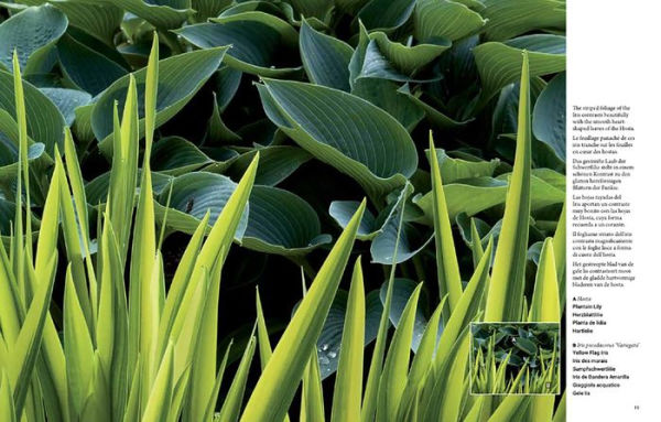 Botanical Inspirations