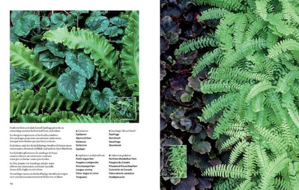 Botanical Inspirations