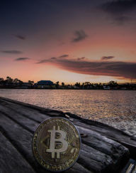 Title: Gratis Bitcoin verdienen: Satoshi kostenlos verdienen, Author: Roger Maley