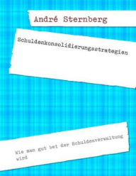 Title: Schuldenkonsolidierungsstrategien: Wie man gut bei der Schuldenverwaltung wird, Author: Andre Sternberg