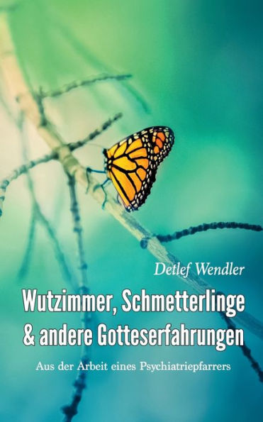 Wutzimmer, Schmetterlinge und andere Gotteserfahrungen: Aus der Arbeit eines Psychiatriepfarrers