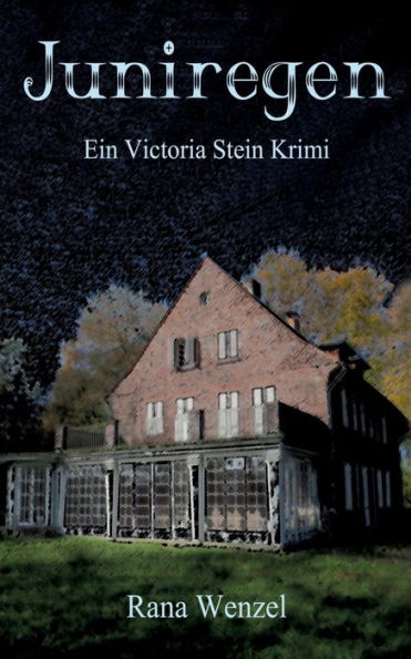 Juniregen: Ein Victoria Stein Krimi