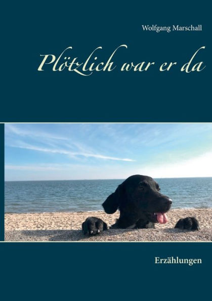 Plötzlich war er da: Erzählungen