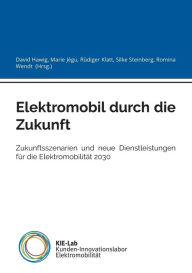 Title: Elektromobil durch die Zukunft: Zukunftsszenarien und neue Dienstleistungen für die Elektromobilität 2030, Author: David Hawig