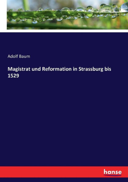 Magistrat und Reformation in Strassburg bis 1529