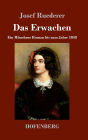 Das Erwachen: Ein Münchner Roman bis zum Jahre 1848