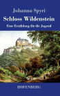 Schloss Wildenstein: Eine Erzï¿½hlung fï¿½r die Jugend