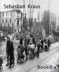 Title: Auf der Flucht, Author: Sebastian Kraus