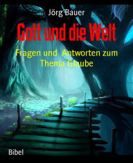 Title: Gott und die Welt: Fragen und Antworten zum Thema Glaube, Author: Jörg Bauer