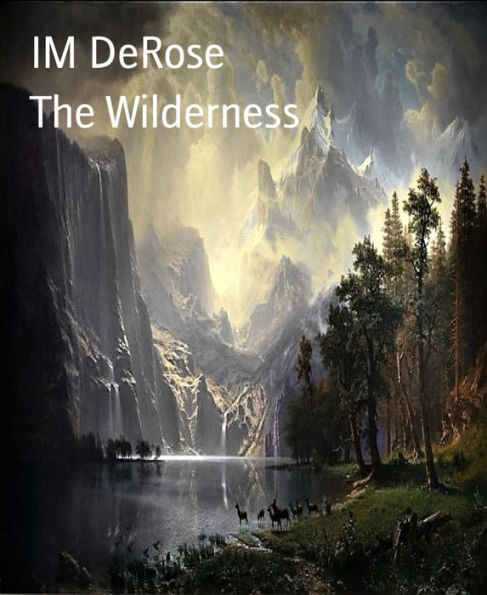The Wilderness