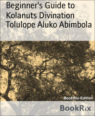 Title: Beginner's Guide to Kolanuts Divination, Author: Andy Cohen & Light Coma