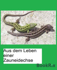 Title: Aus dem Leben einer Zauneidechse: Naturbeobachtung, Author: Bärbel Demmler