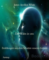 Title: Der Wahn in uns: Erzählungen aus dem Schatten unseres Geistes, Author: James Apollon White