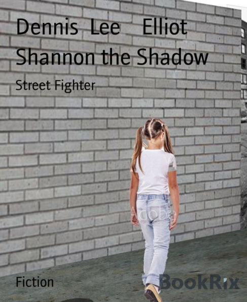 Shannon the Shadow: Street Fighter