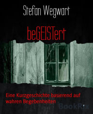 Title: beGEISTert: Eine Kurzgeschichte basierend auf wahren Begebenheiten, Author: Stefan Wegwart