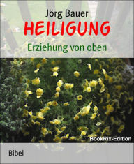 Title: Heiligung: Erziehung von oben, Author: Jörg Bauer