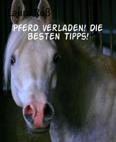 Pferd verladen! Die besten Tipps!