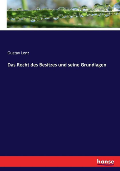 Das Recht des Besitzes und seine Grundlagen