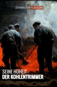 Title: Seine Hoheit - der Kohlentrimmer: Die Kriegsheimfahrt des Herzogs Heinrich Borwin zu Mecklenburg, Author: Johann zur Plassow