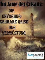 Title: Im Auge des Orkans:: Die unvorhersehbare Reise der Verwüstung, Author: Alessandro Dallmann