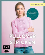 Title: Mini-Masterclass - Pullover Stricken, Author: Vera Sanon