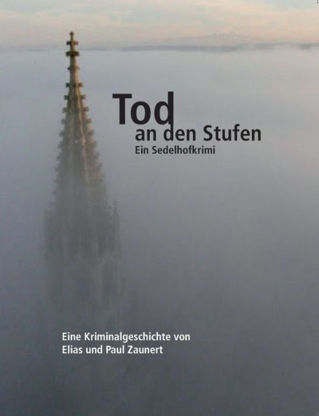 Tod an den Stufen: Ein Sedelhofkrimi