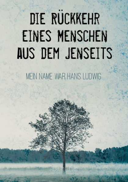 Die Rï¿½ckkehr eines Menschen aus dem Jenseits: Mein Name war Hans Ludwig
