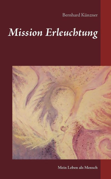Mission Erleuchtung: Mein Leben als Mensch