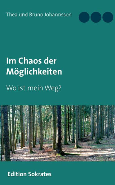 Im Chaos der Mï¿½glichkeiten: Wo ist mein Weg?